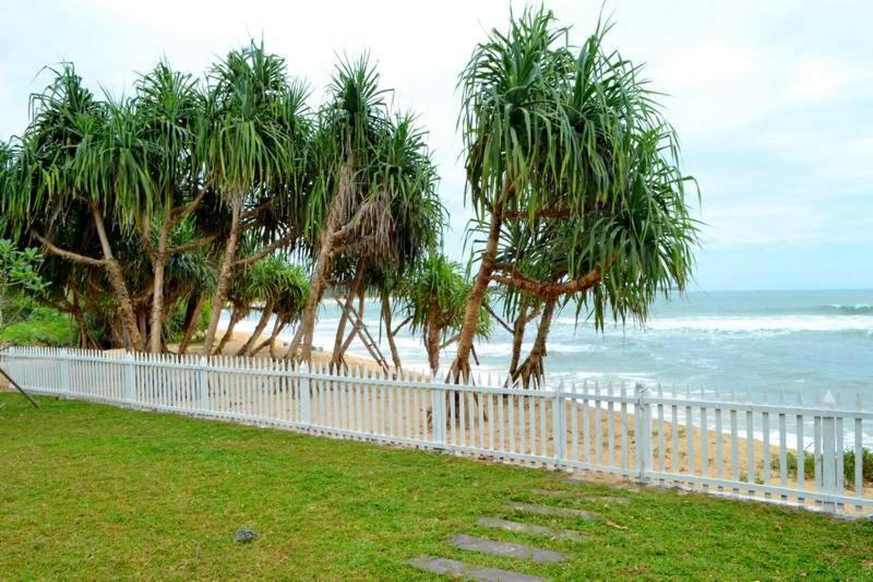טנגלה Guru Beach Resort מראה חיצוני תמונה